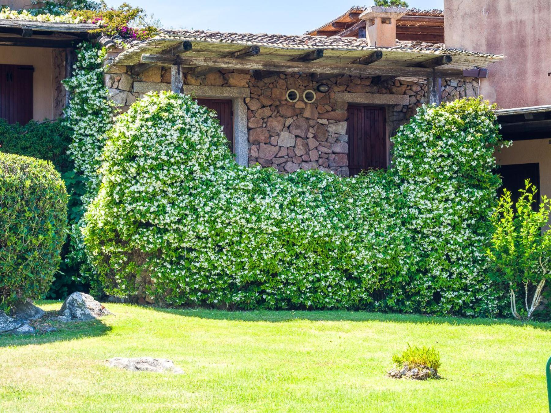 Caletta 10 - Klodge Porto Rotondo Exterior photo